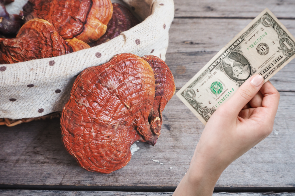 Evaluating Costs and Saving Cash